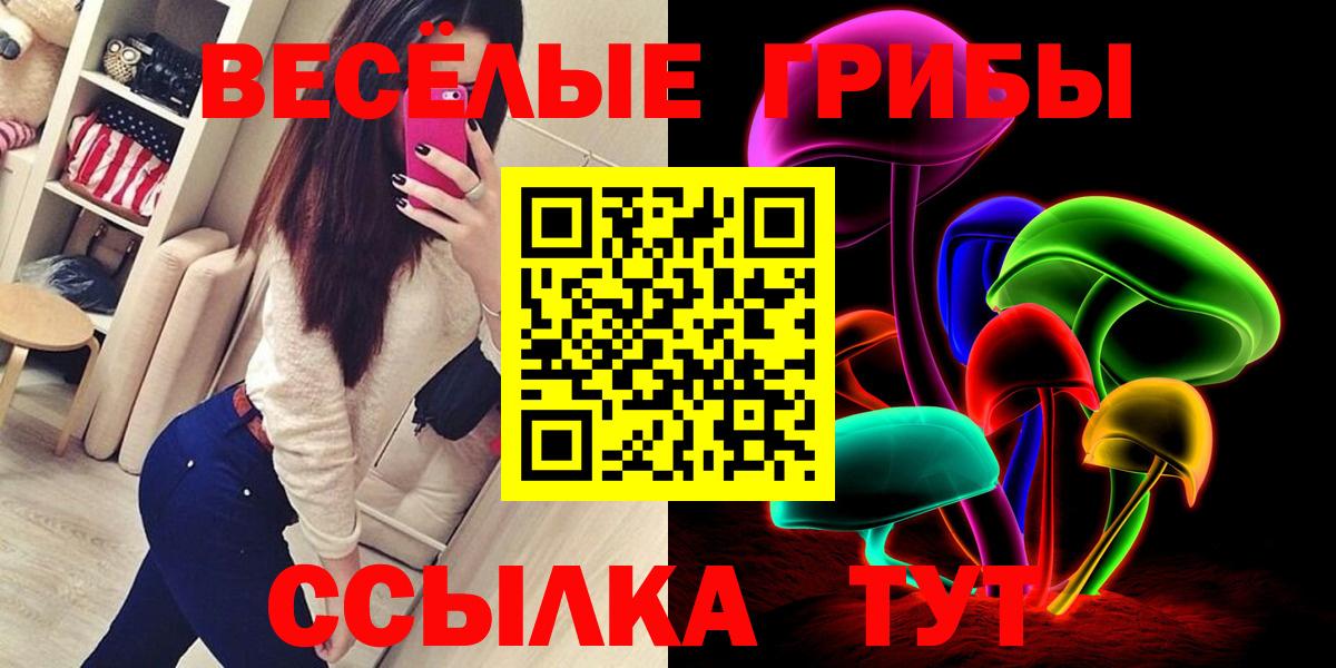 Галлюциногенные грибы Psilocybine cubensis Лысьва